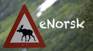 eNorsk